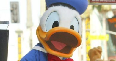 Hva kan du om Donald Duck