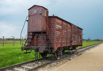 Historie quiz 2 holocaust