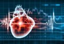Vitenskap quiz 7 menneskets hjerte