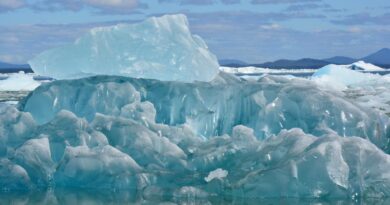 Klimaendringer: En Global Utfordring for Fremtiden