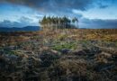 Klimaendringer og deres Påvirkning på Vårt Liv