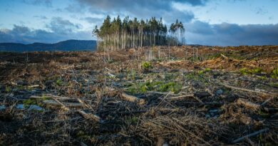 Klimaendringer og deres Påvirkning på Vårt Liv